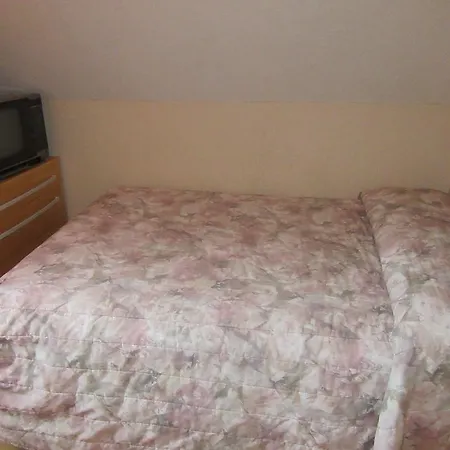 Turtle Hostel-3