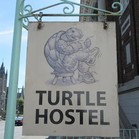 Turtle Hostel-2