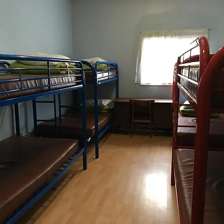 Turtle Hostel-2